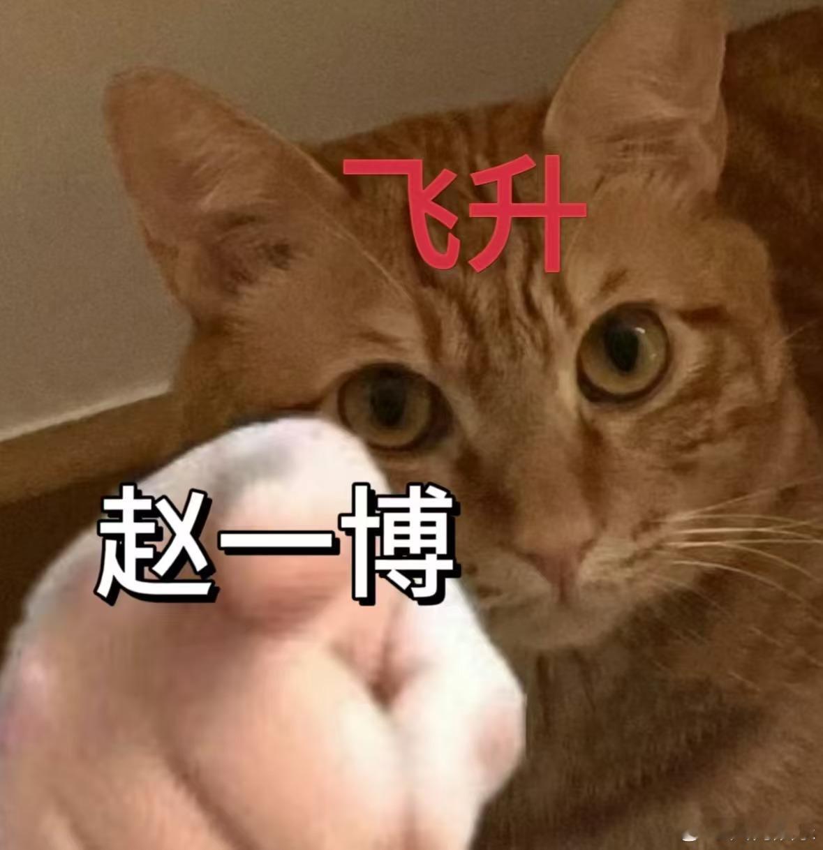 年度电影制片人监制赵一博新戏  陈祉希资源人脉超牛，赵一博沾光成特别主演，喊着“