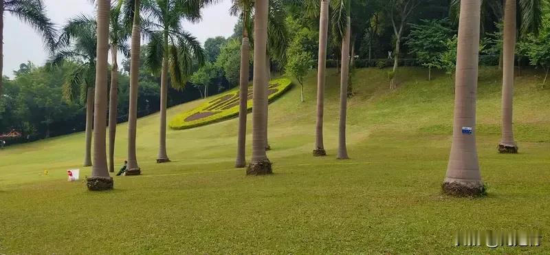 演员白百何让孩子随地小便 2月14日，演员白百何带娃在公园游玩时出的事迅速登上热