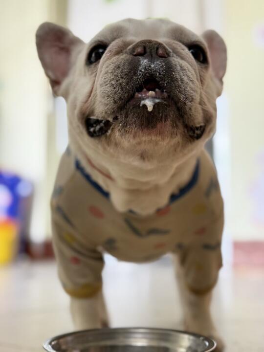 亿点点可爱还是一点点可爱呀