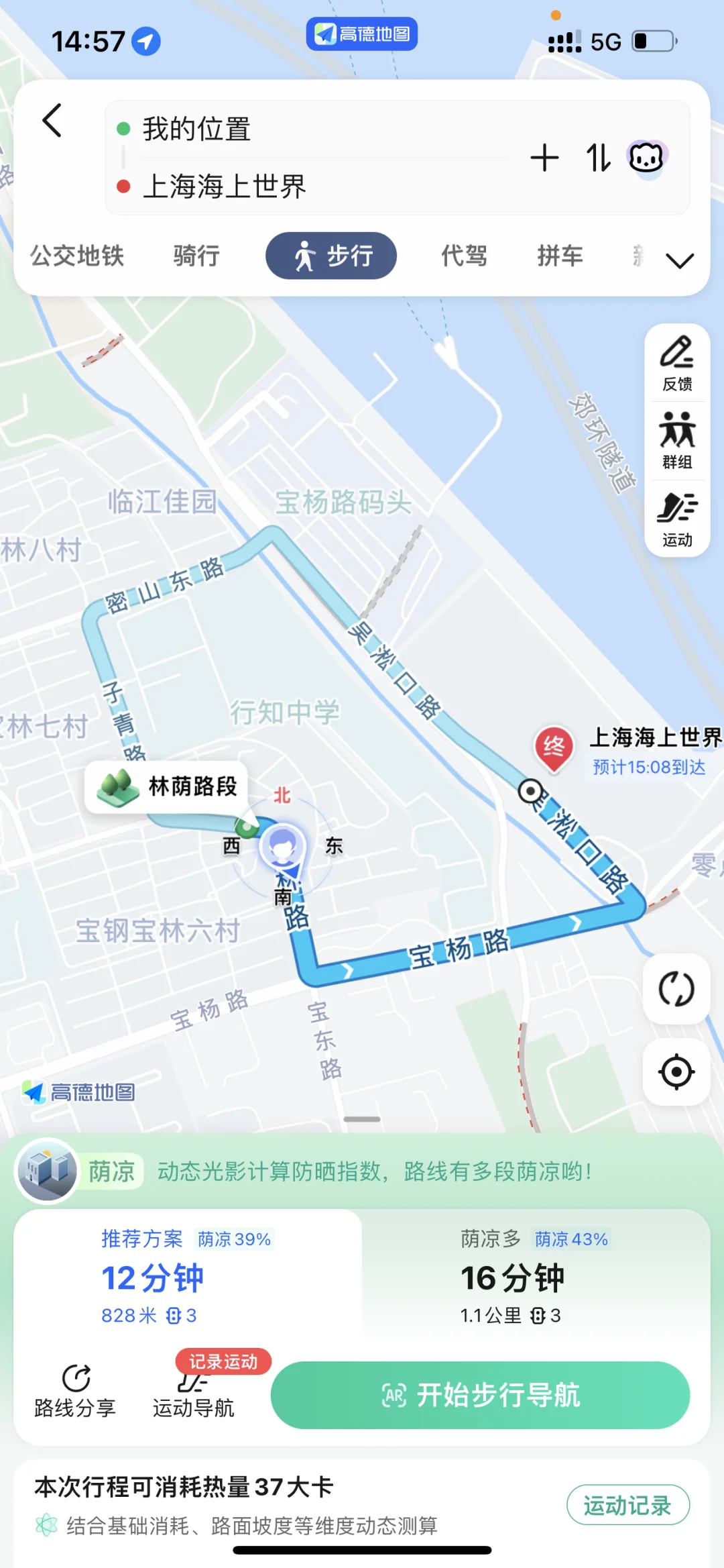 海上世界！一天世界…别来了！根本没车位！