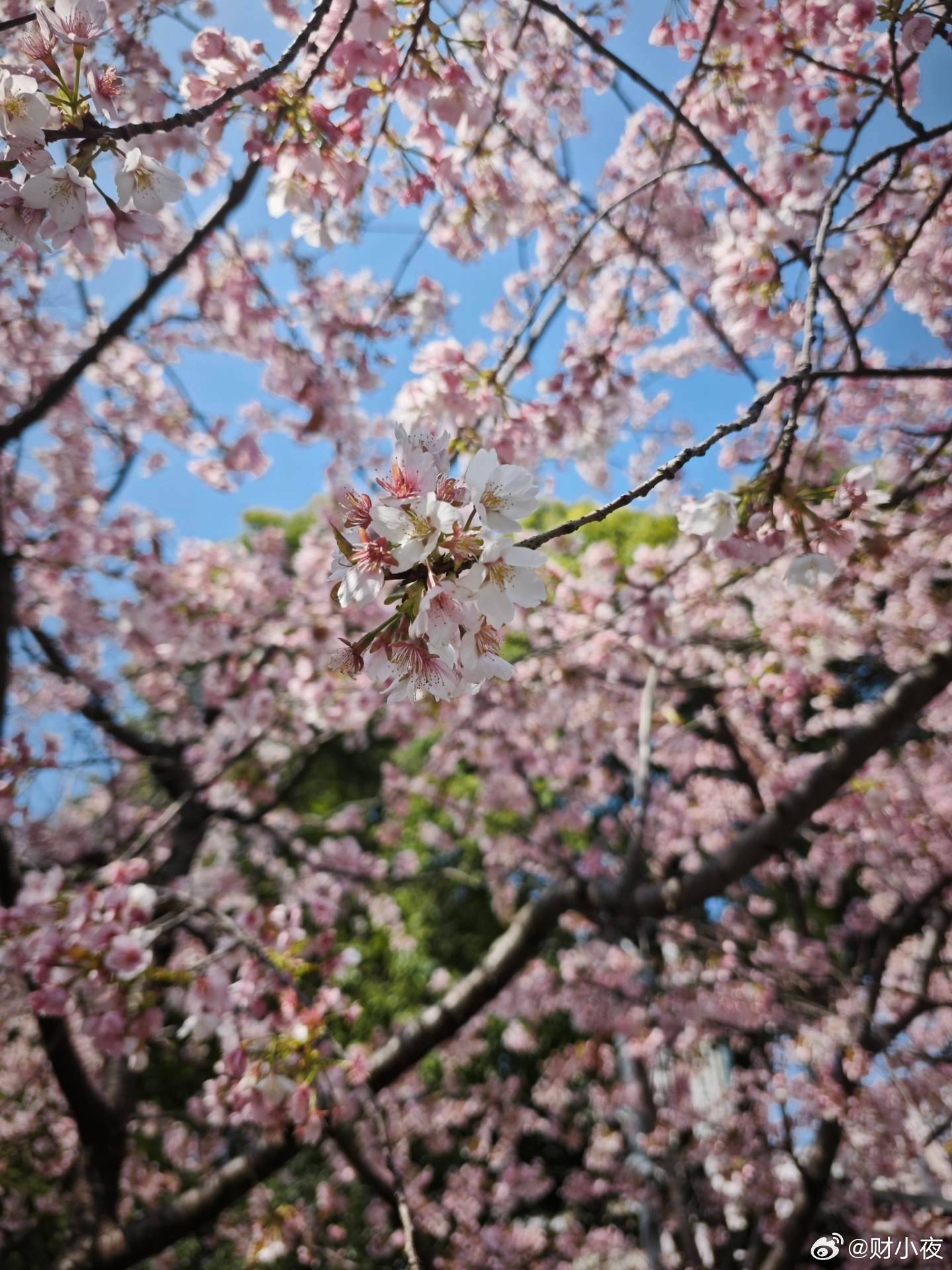 女子称交10万相亲A8男变负债男A8，资产千万。A9，资产过亿。但不管A几，交1