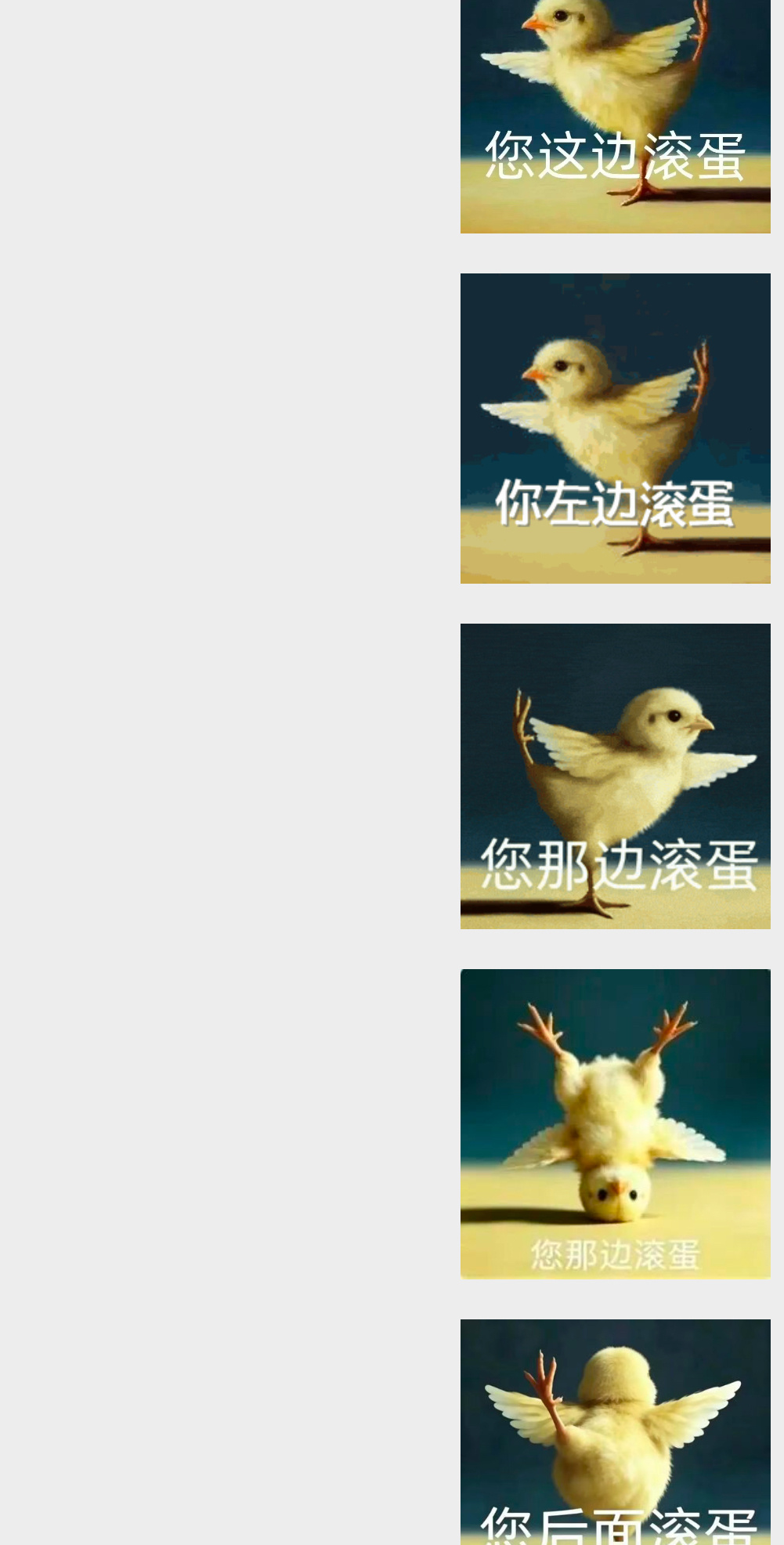 我要被这只鸡给笑死了肚子疼 