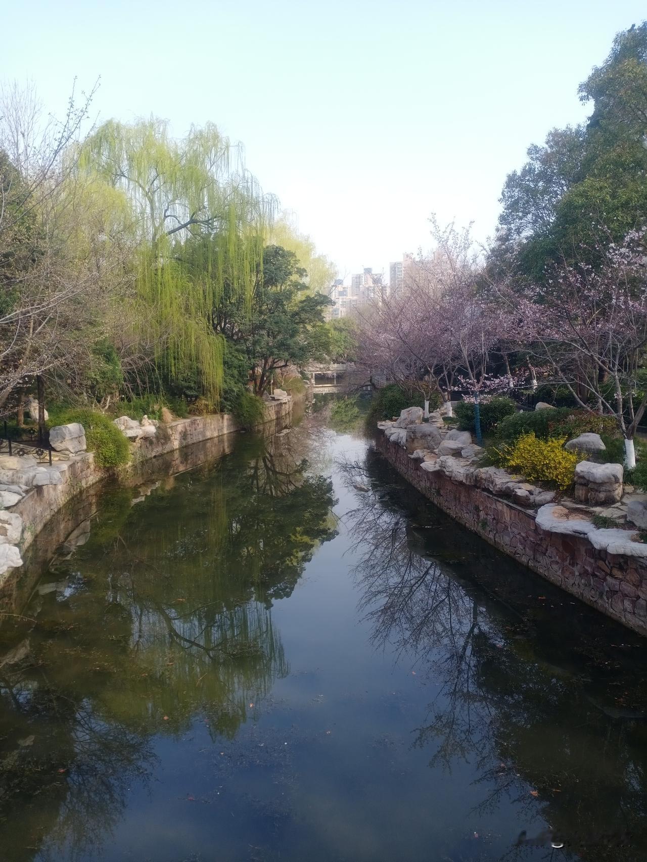 深度通才的修炼，是重新授权自己：涉猎多领域，建立横向认知，在多维度中锤炼判断力与