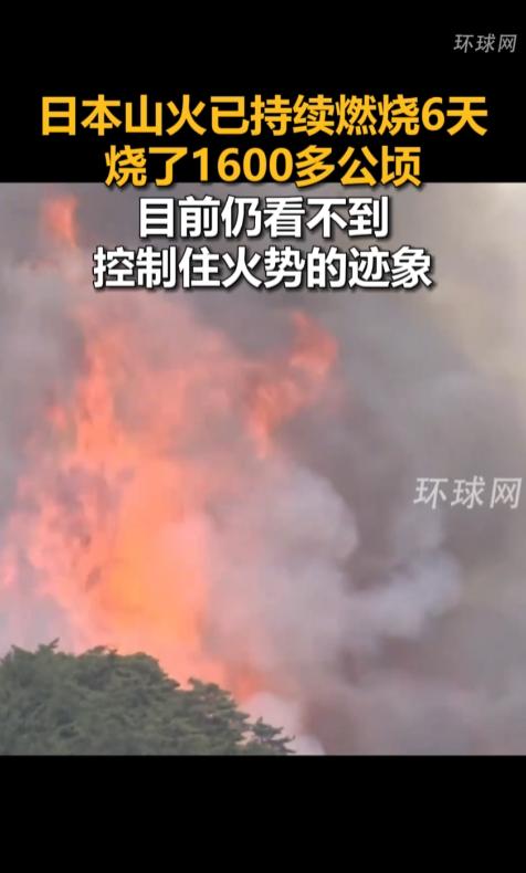 日本这场已经烧了整整6天的大火，把超过1600公顷的山林烧成了焦土，这到底是真的