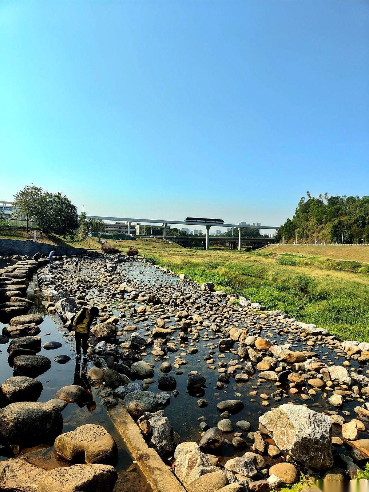 一个S形的庞然大物，就这么硬生生砸在你眼前。
这，就是还在建的深圳自然博物馆。