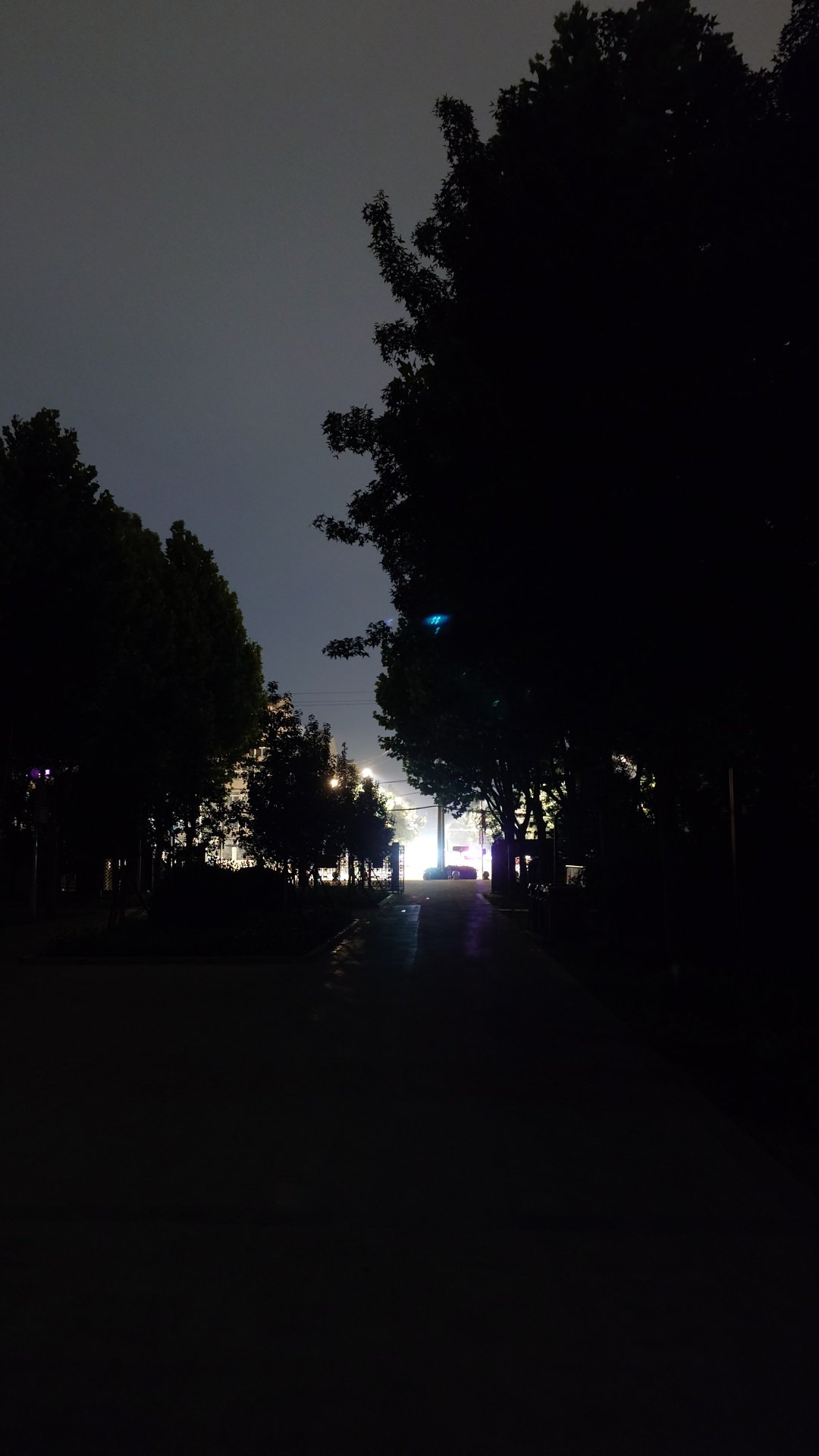 谢谢常营马拉松公园，i人跑步天堂。有种去了另一个世界的美感。