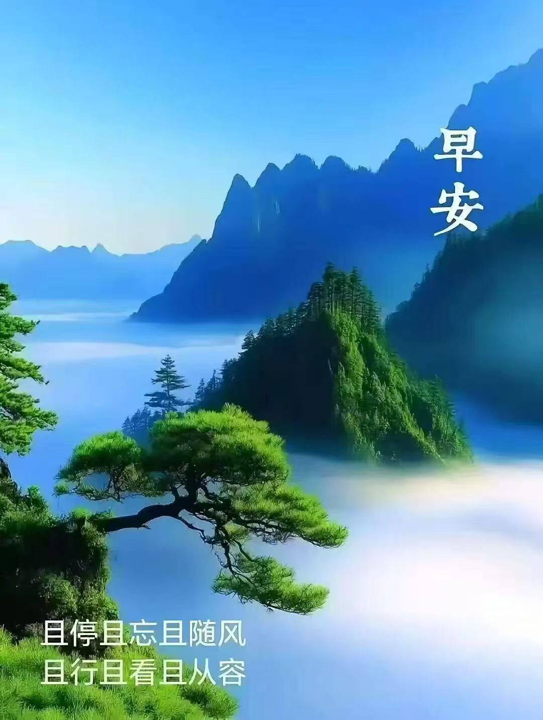 分享图片 南京