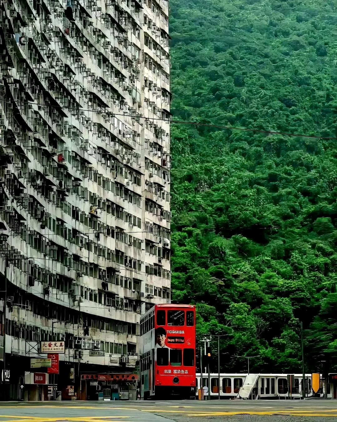 说这张香港居民楼的图片，拍得真是绝了！

一半是人间烟火，那密密麻麻的居民楼，窗