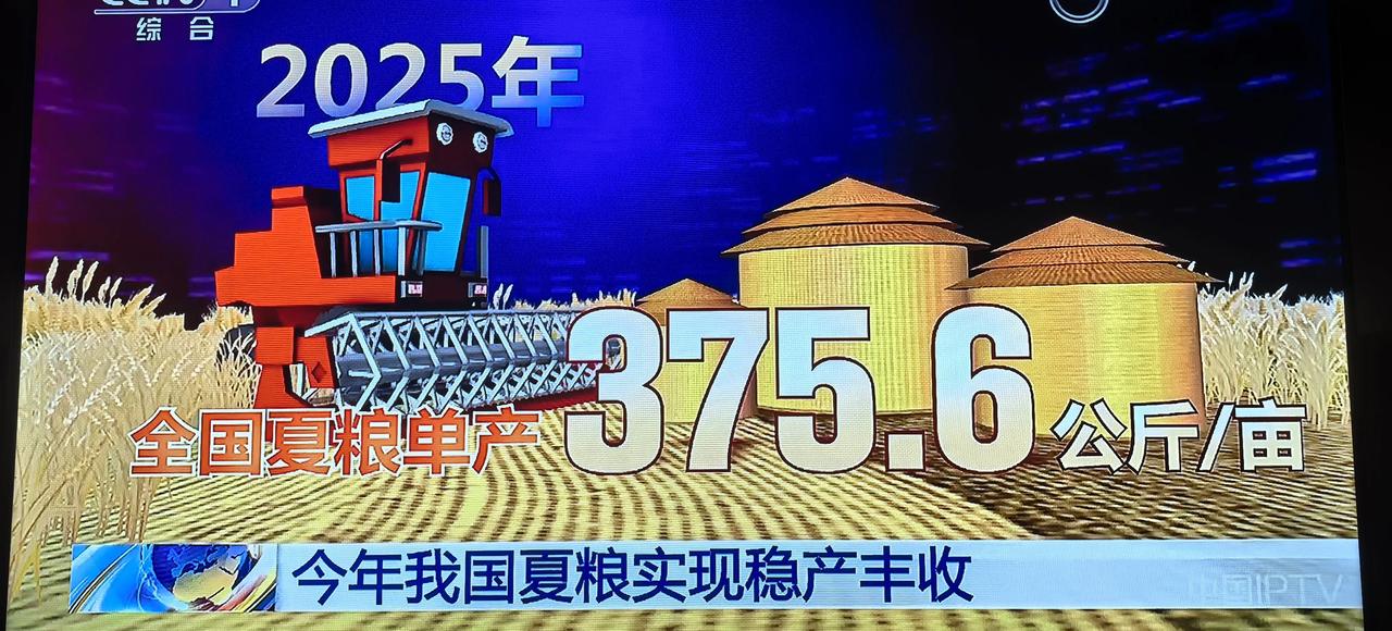 央视新闻说今年夏粮稳产丰收，单产375.6公斤/亩，这跟我们这里的产量少了很多。