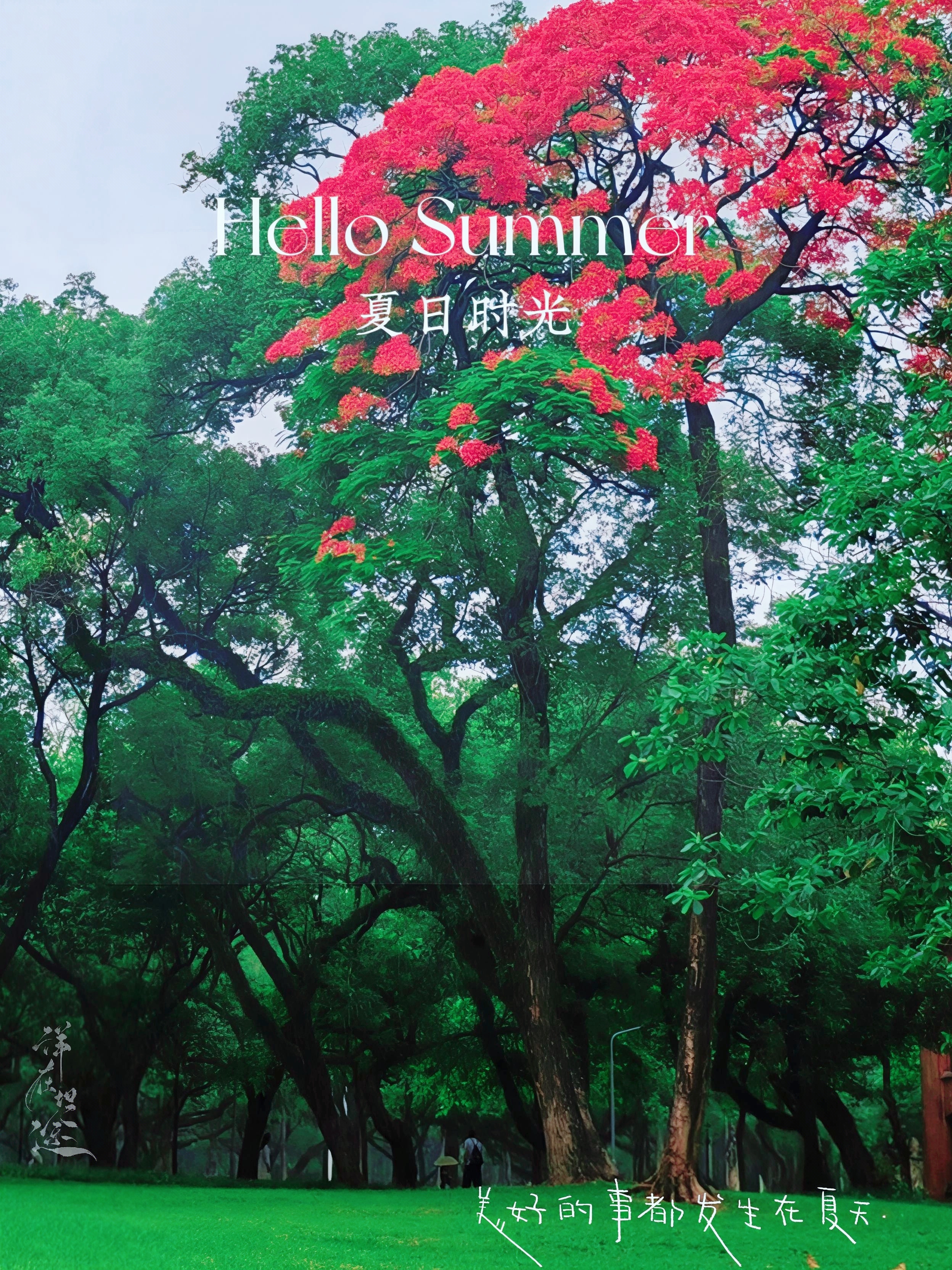 虽然花🌸会零落，但会重开有，趣有盼，不负心中热爱❤️！ 