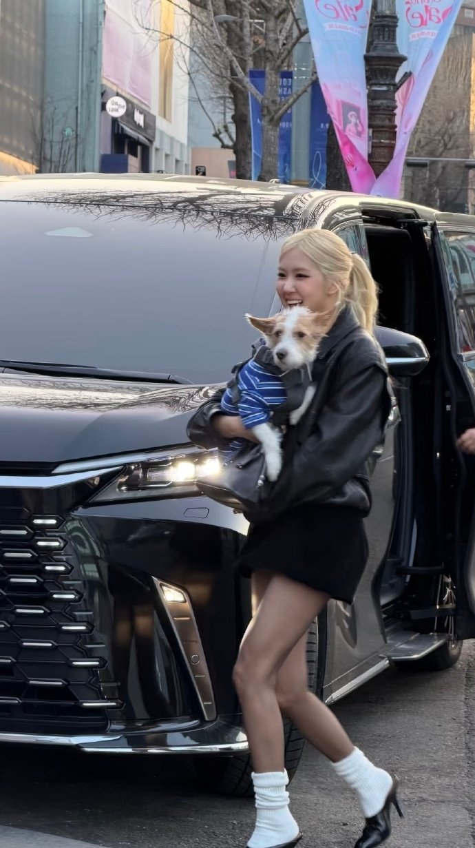 汉南洞偶遇朴彩英 原来在韩国真的能转角遇到爱！网友在汉南洞偶遇了朴彩英，她抱着狗