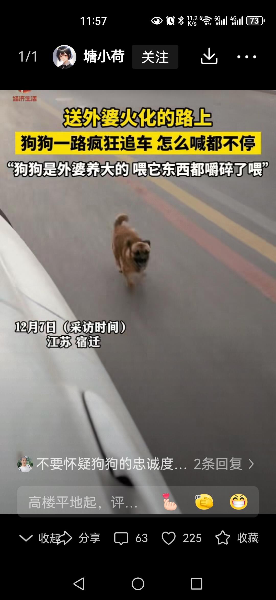 江苏宿迁，王女士的外婆去世了，送去火化的路上，外婆养的小狗一直在追着车跑。看着小