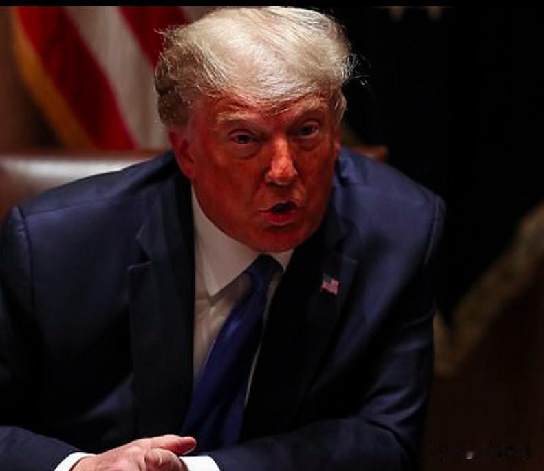 有统计显示，在克林顿执政的8年中，总遣返人数大约在1200万左右（包括自动离境、