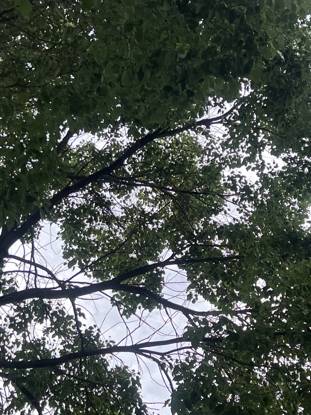 抬头看看天