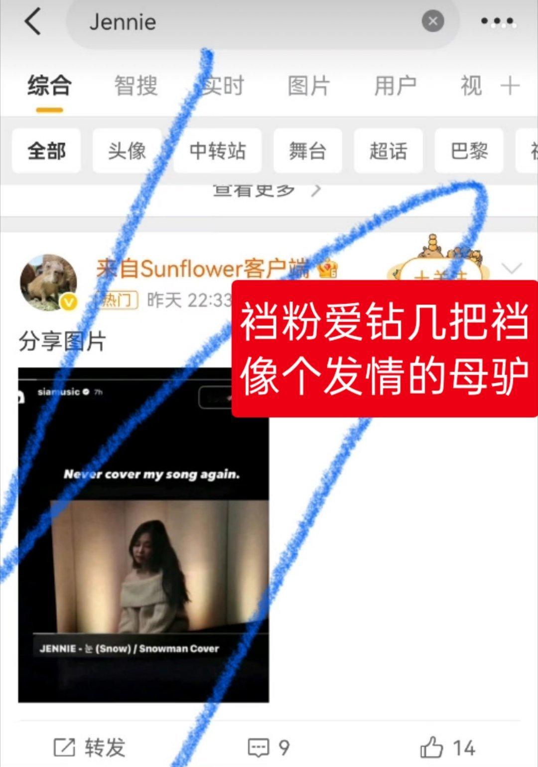 JENNIE 朴彩英粉丝能不能别逗我笑了，拿着外网套粉的大p图往内网搬也不过过自