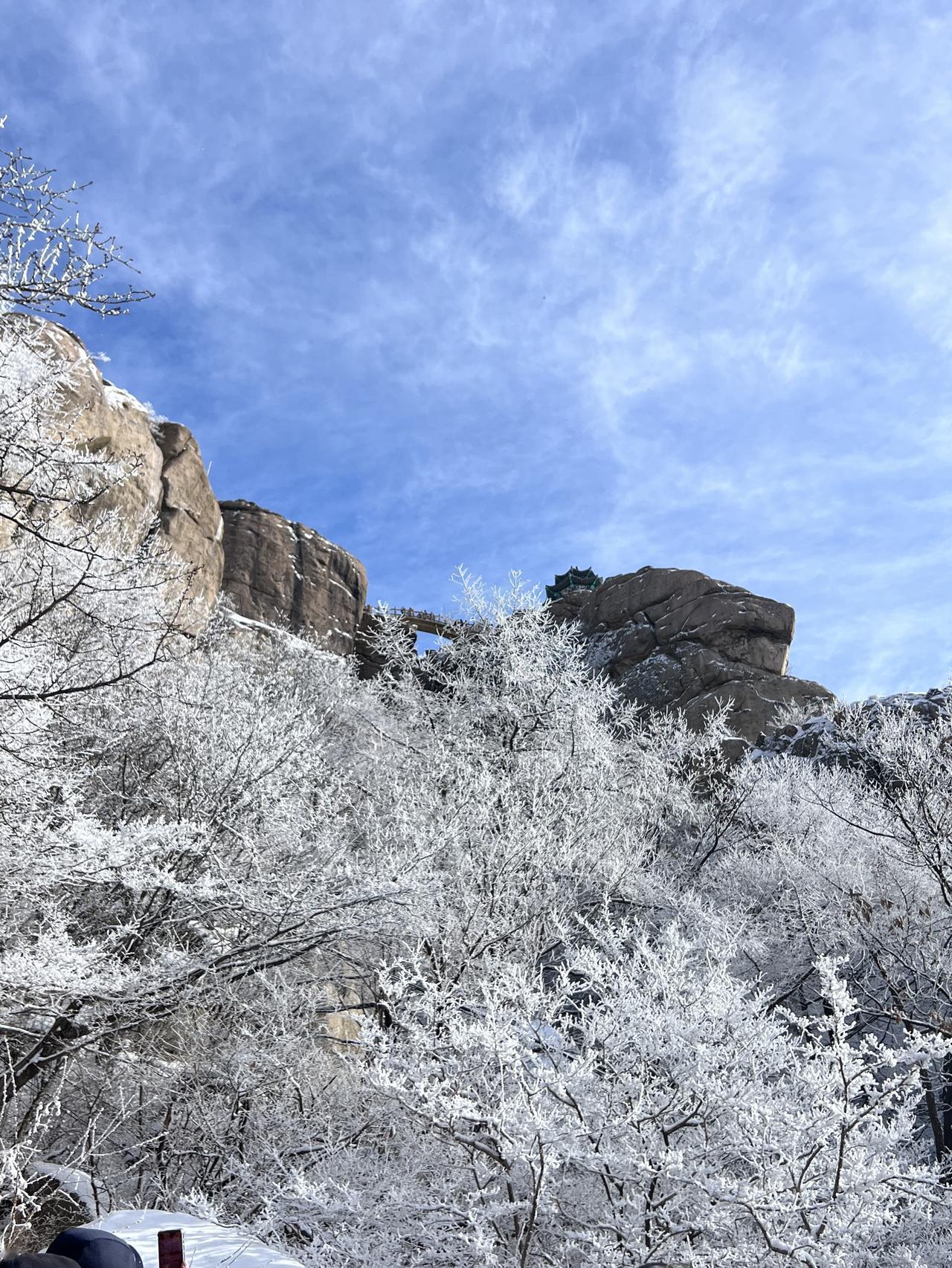 一念花开，香如故；一念雪落，醉浮生。”又是一年飞雪时，最适合邀约三两个素心人，烧
