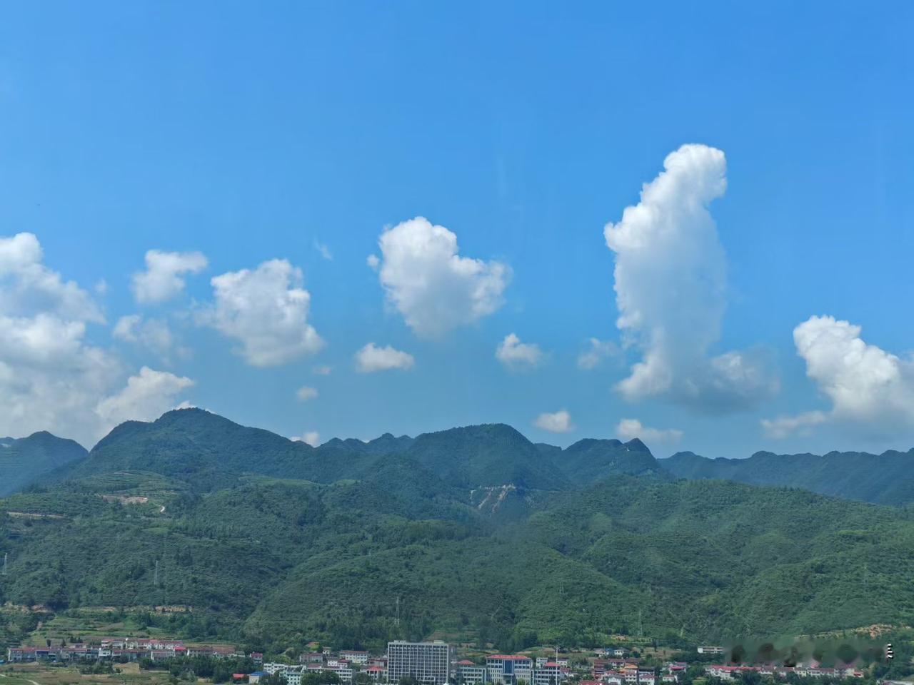 被忽略的“生命火花”！镁才是身体代谢的幕后打工人
 
说起补钙、补铁，大家都如数