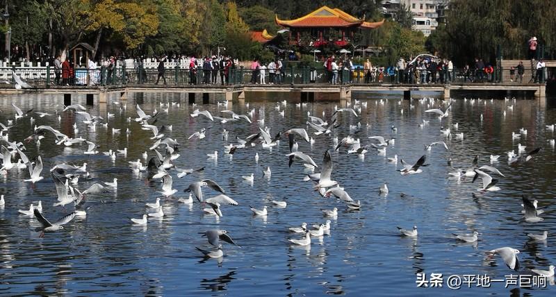 人还是要珍惜自己的高光时刻！

在高光的时期挣钱多，但是一定要记得存钱，并不是每