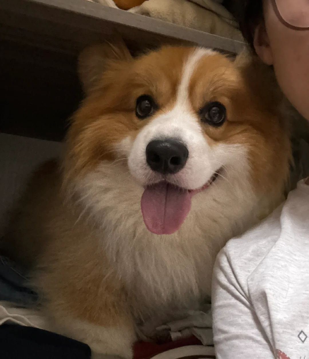 周五啦～