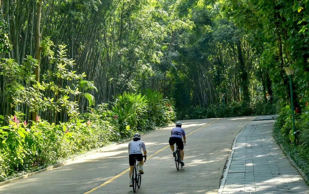 南宁骑行推荐之青秀山环线：城市氧吧挑战。
从青环路附近进入青秀山内部道路，体验赛