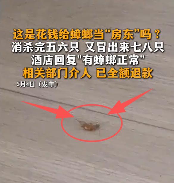 五一假期，花 329 元一晚住酒店，本想出门度假好好休息，山东游客却在苏州遇上糟