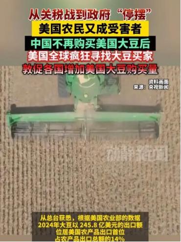 美国大豆这桩生意最近算是有了新着落，但这背后的门道可比单纯卖货复杂多了。
 
自
