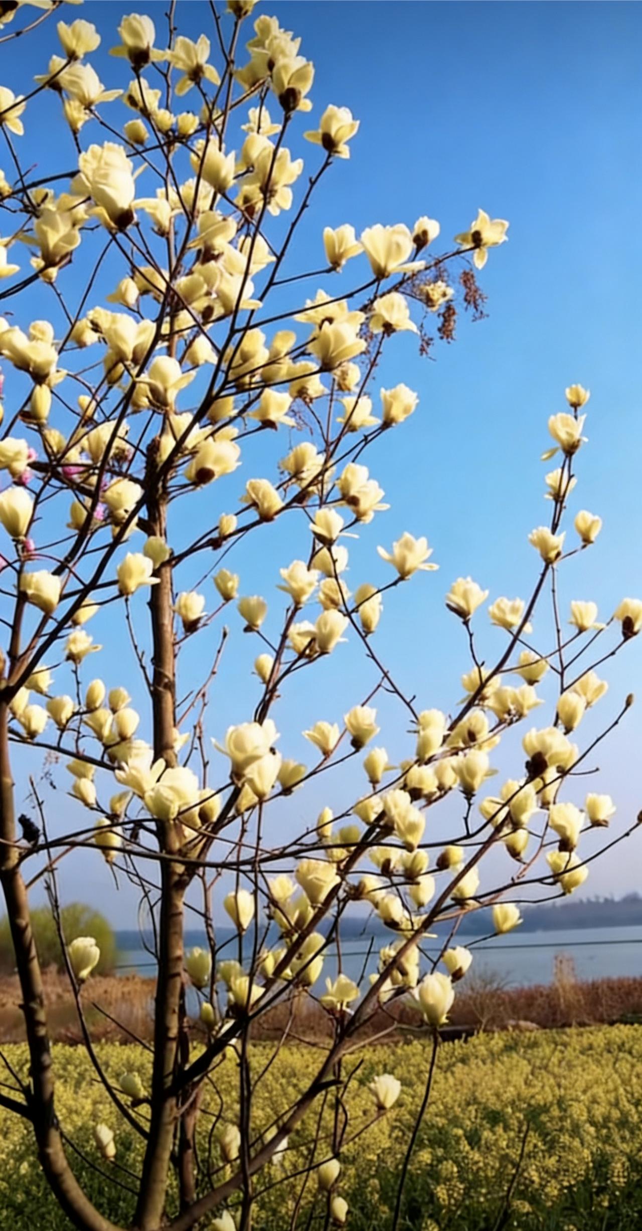 分享一下你随手拍下的照片