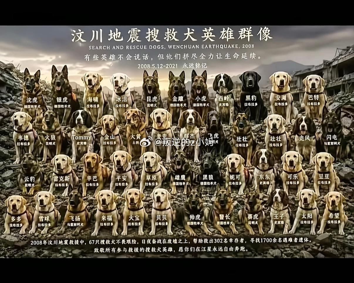 不爱请别伤害 保护动物