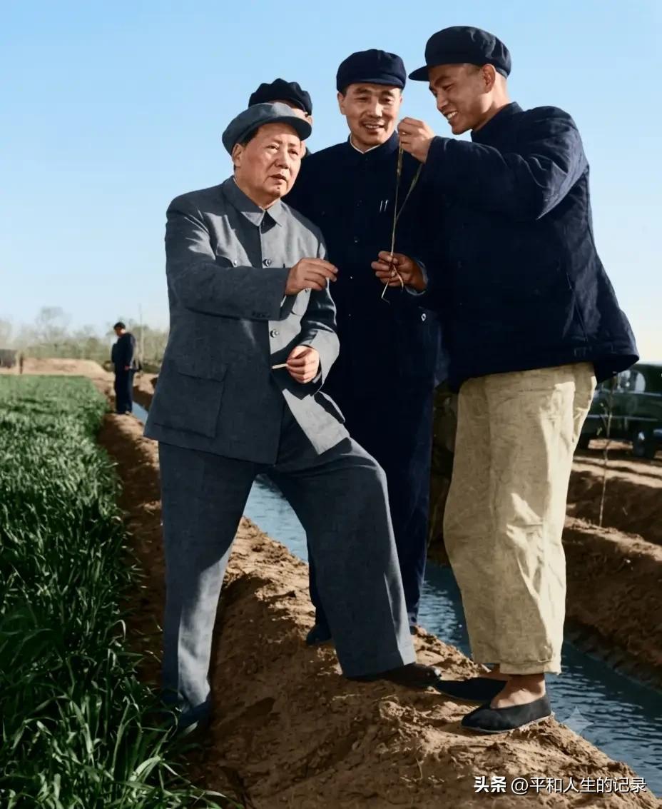《万岁毛主席》歌词：
金色的太阳，
升起在东方，
光芒万丈。
东风万里，
鲜花开