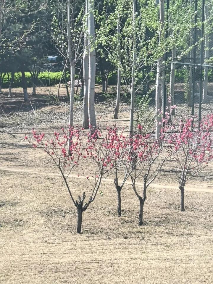 窗外有风，窗内有光，隔壁有音乐声声，这样的时光，没有咖啡，也有香气……