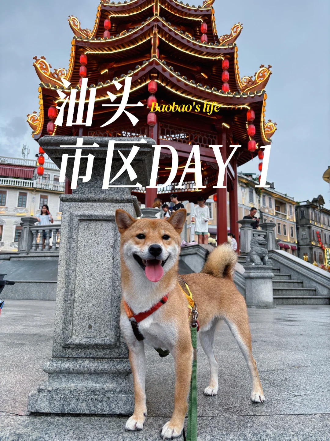 心心念念的汕头 我们来了🦪