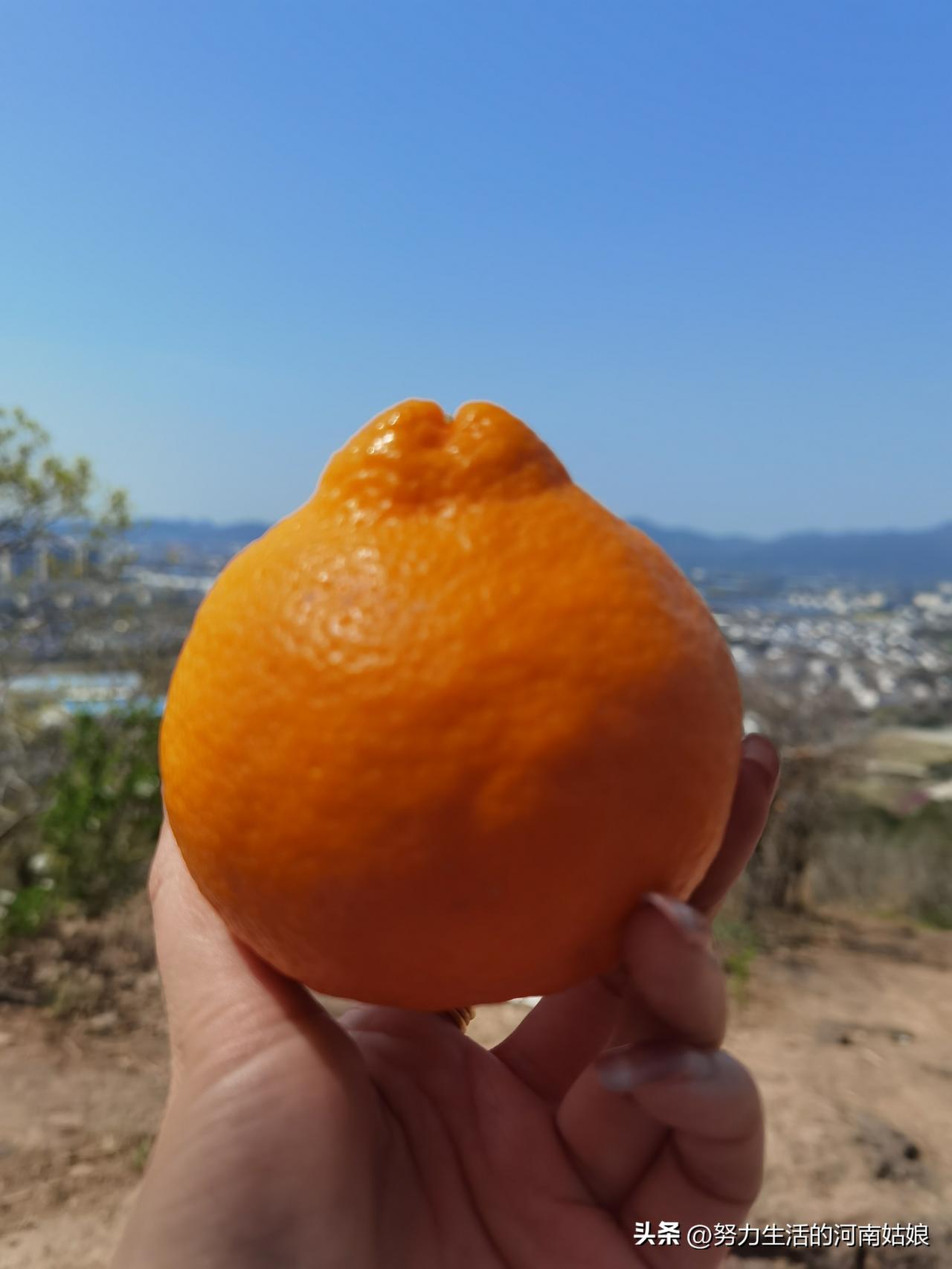 白天归顺生活，夜晚臣服于自己。
把烦恼清空，把疲惫卸下，
不纠结过往，不焦虑明天