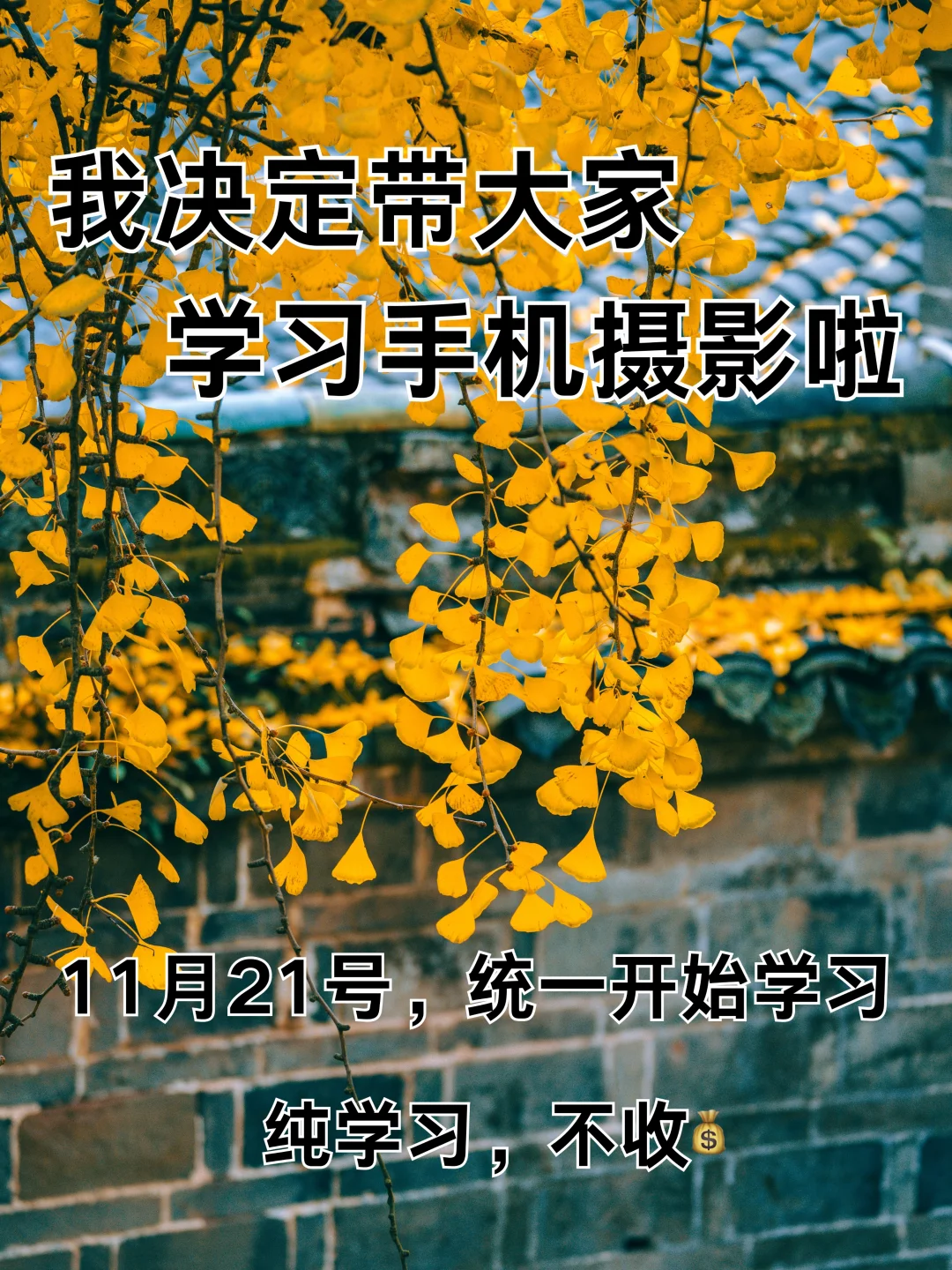 我决定带大家学习手机摄影啦！！