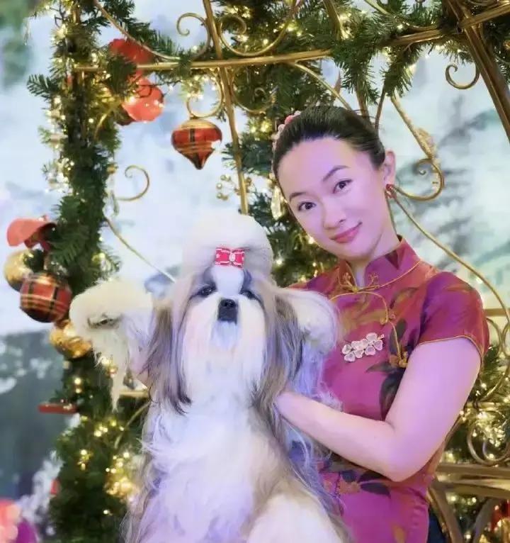 霍思燕那条狗半年前就跟着她天天练站姿、走直线、练定力，连下雨天也披着雨衣在小区花