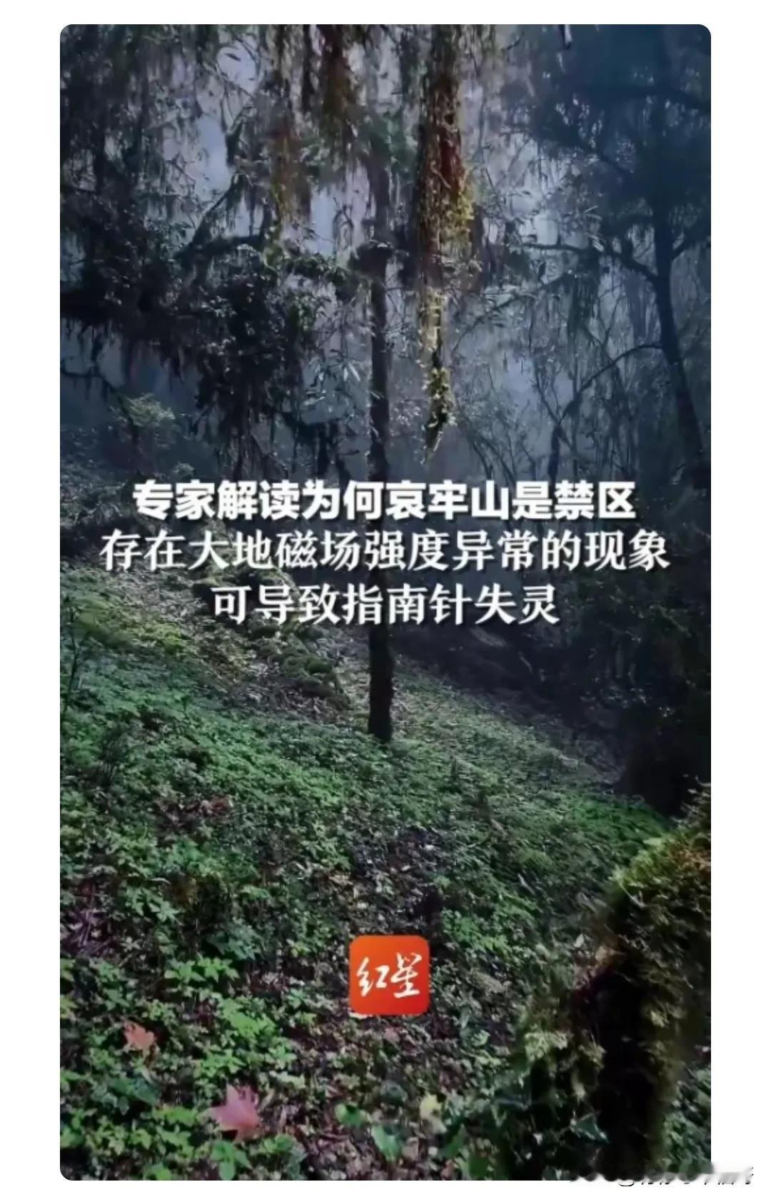 近日大火的哀劳山为什么是禁区呢？哀牢山被部分区域设为禁区主要有以下原因：
 
一