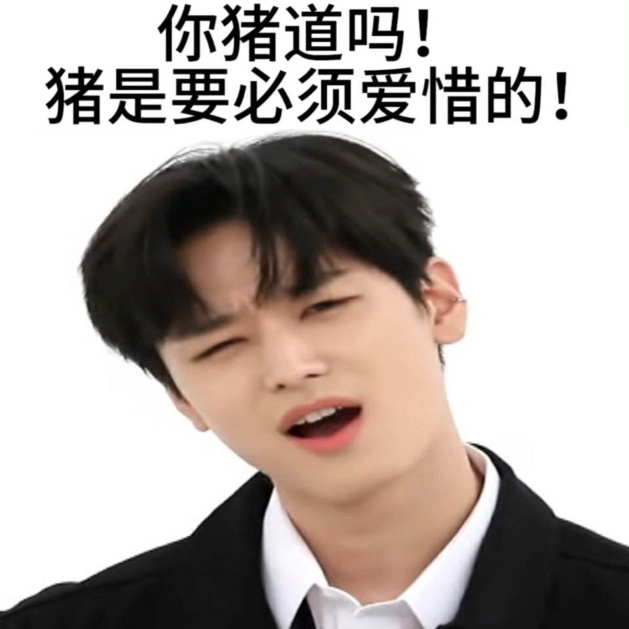 你猪道吗！柱是要必须爱惜的！🐽 