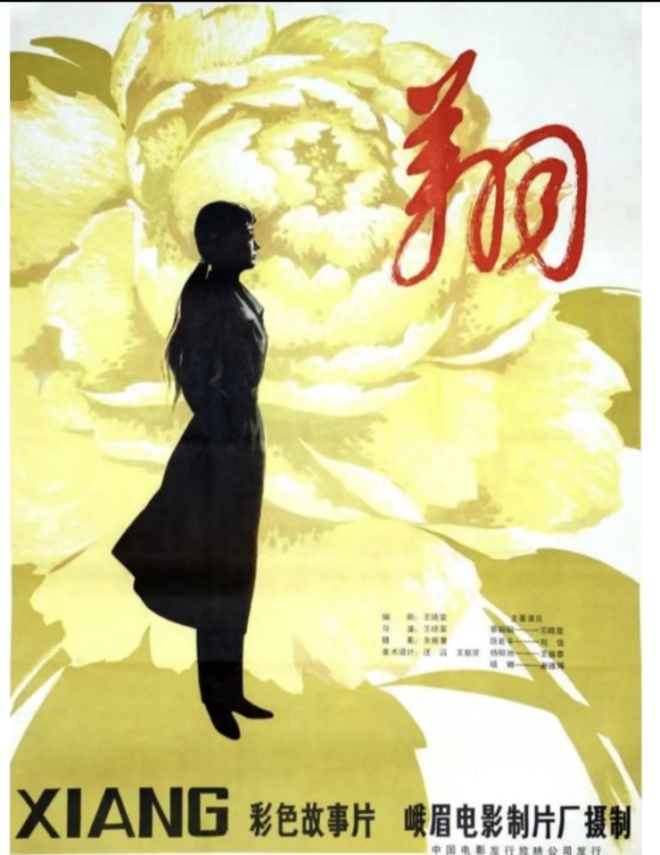为什么说王晓棠在文革结束后自编自导自演的伤痕电影《翔》是部失败的影片？
喜欢王晓