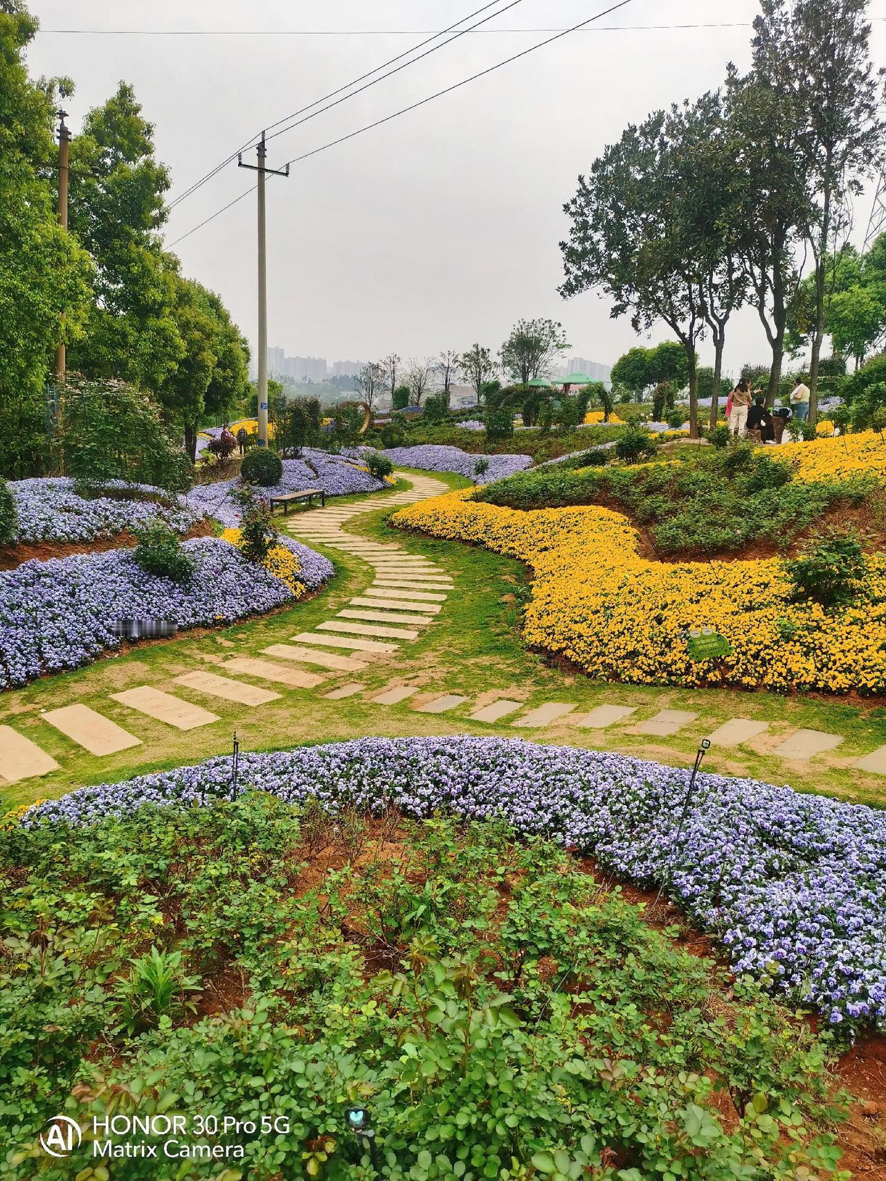 玫瑰谷是我们小县城一个小众景点，一个家乡人，看到家乡的人没有休闲，好玩的地方，包
