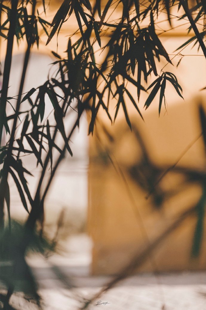 春有百花秋有月，夏有凉风冬有雪。若无闲事挂心头，便是人间好时节。——无门慧开禅师