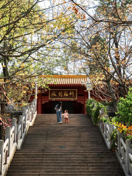 厦门拍照|春日入古寺·绿树红花是神明的偏爱