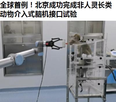 你看，果然有高达吧，这下坐实了——5月4日，全球首例非人灵长类动物介入式脑机接口