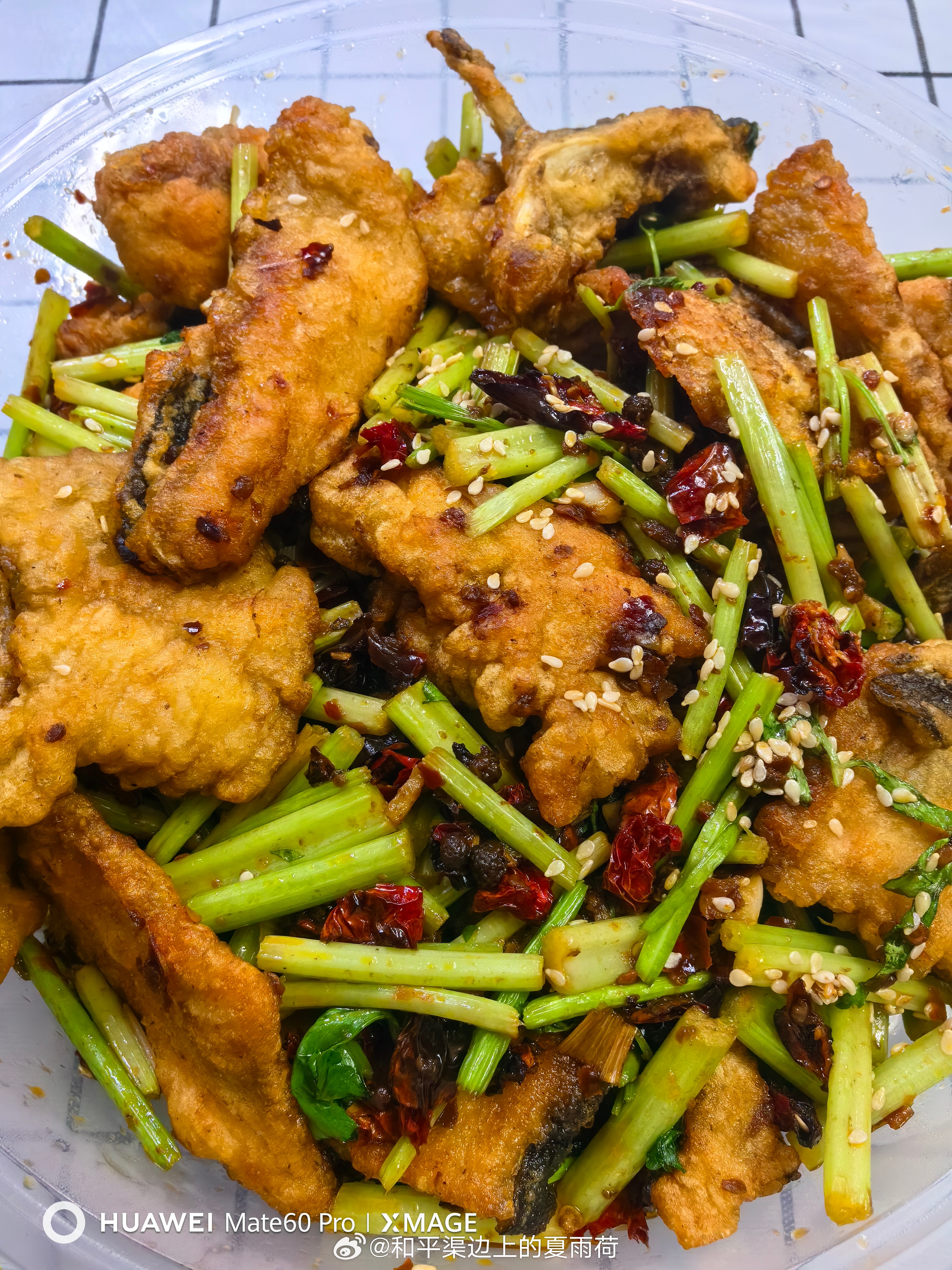 吃点🐟吧 ​​​