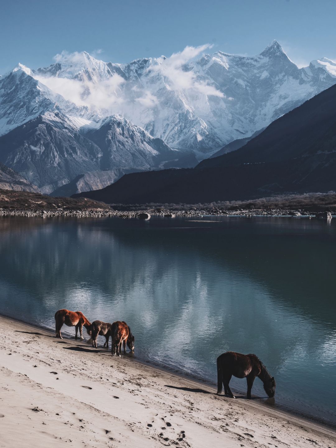 雪山、骏马、河流，这是梦中才有的画面🏔️