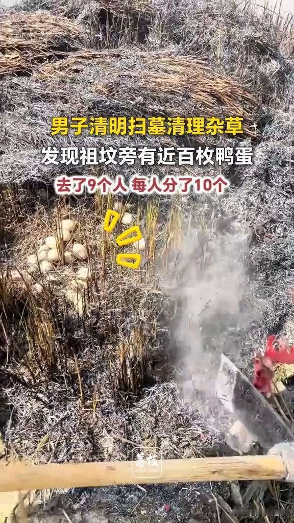 凡是看到此文此图的人，都要沾福气、发大财！愿新的一年顺风顺水，财运滚滚，平安喜乐