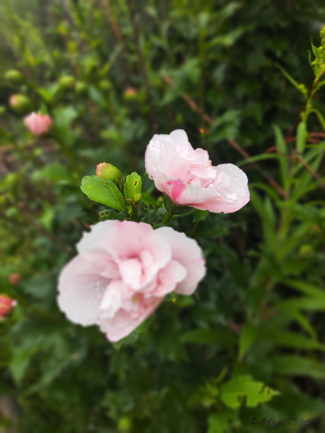 我们是爱好和平的国家！好战必亡，历史上穷兵黩武的短命帝国也出现过很多次！而且，文