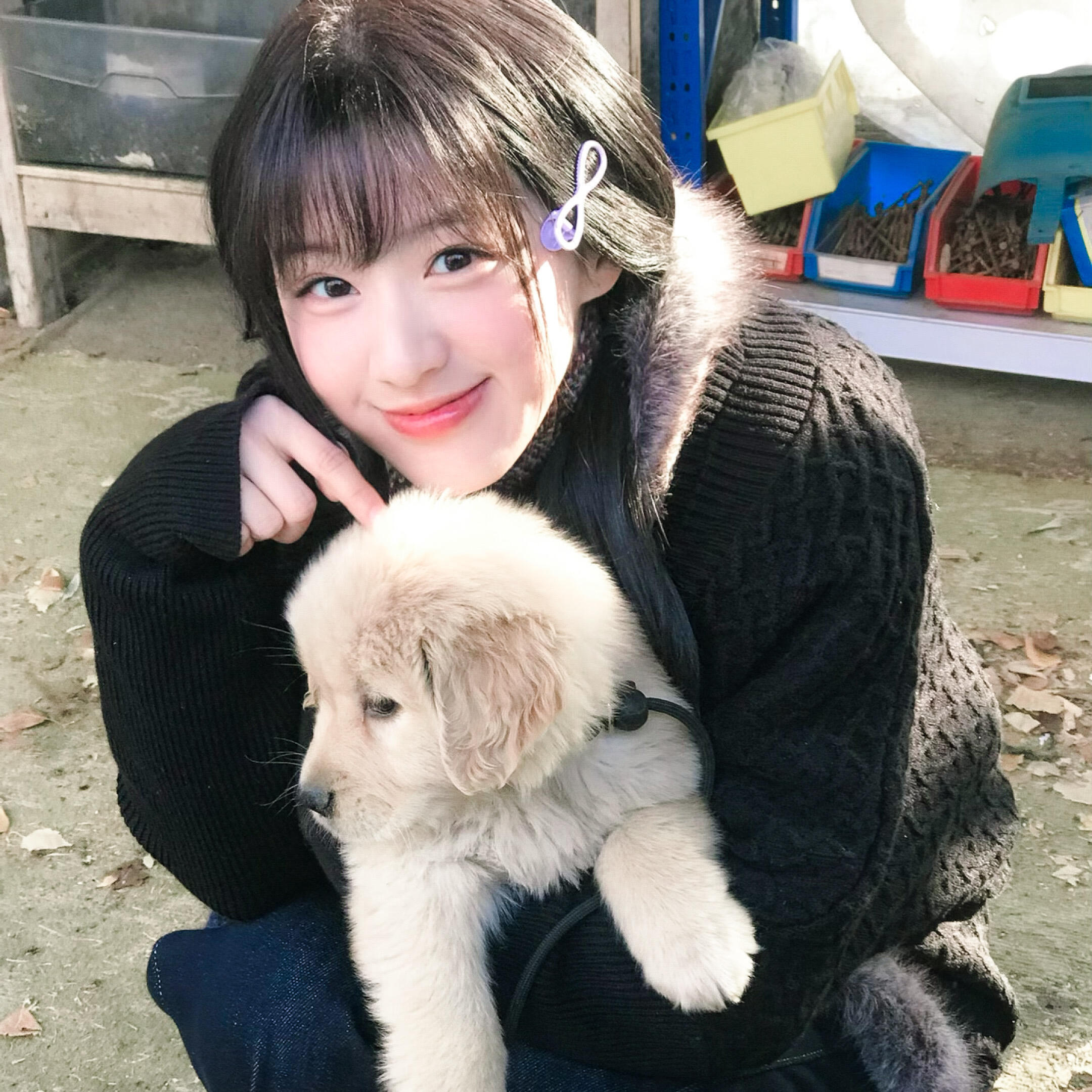 -𝐒𝐇𝐀𝐑𝐄｜包上恩头像背景图搭配 ⸝⸝🐕꙳🧺◟🍂。 