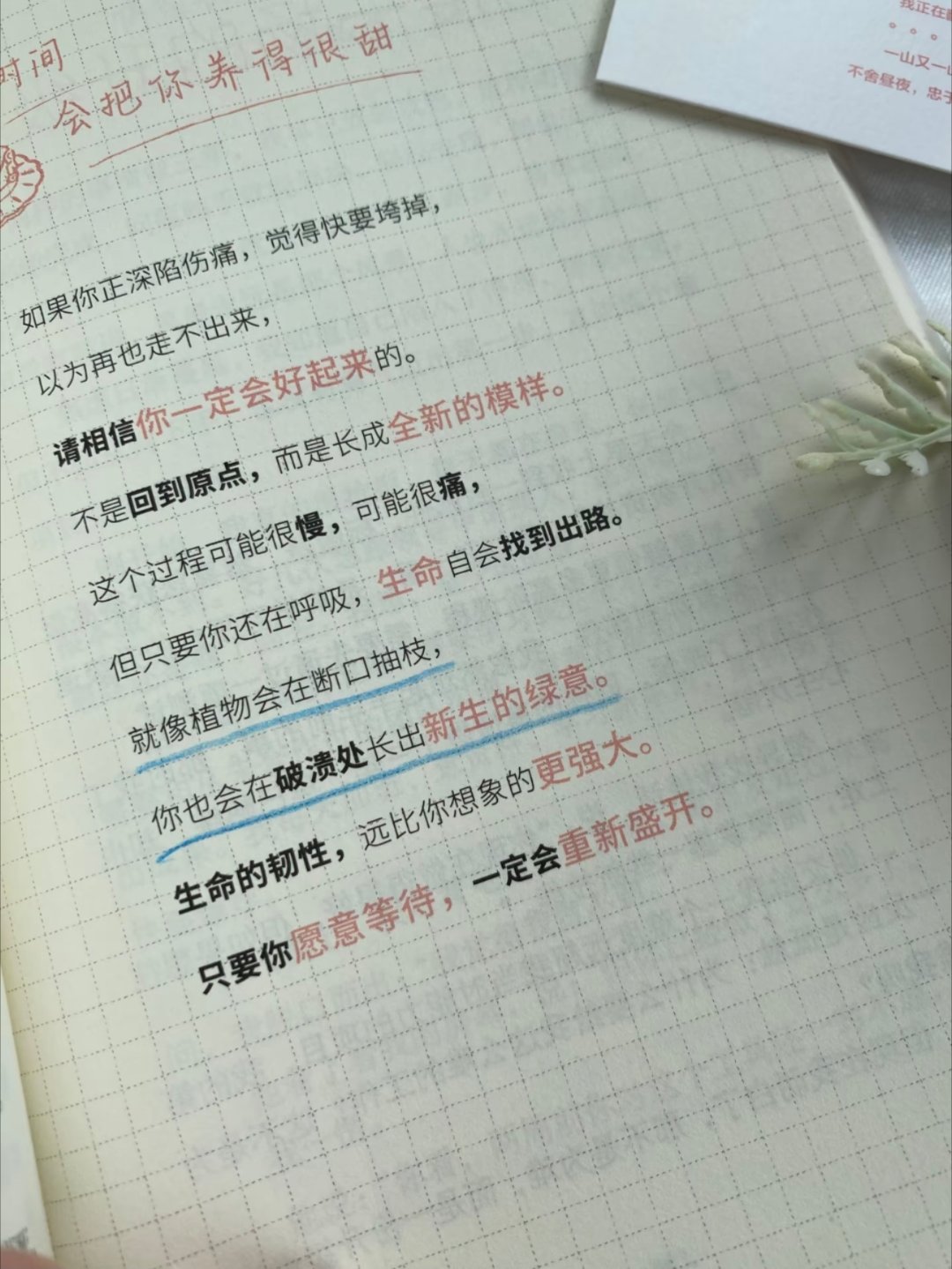 太有力量了，看完被狠狠点醒 