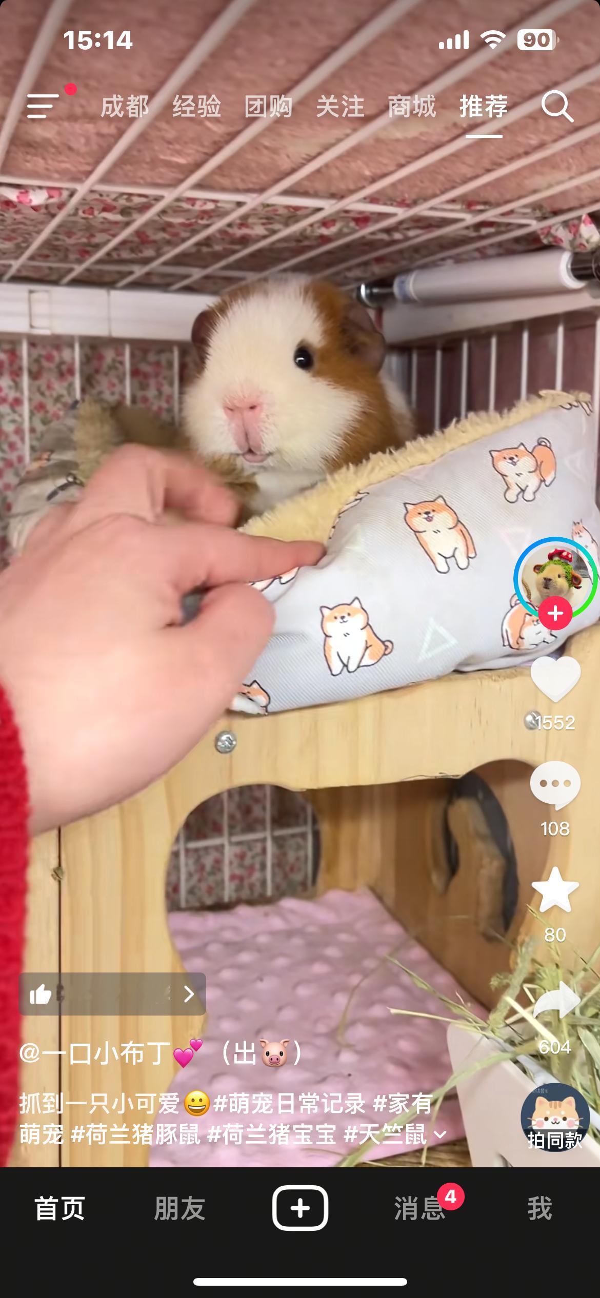 痘印豚鼠含量90% 