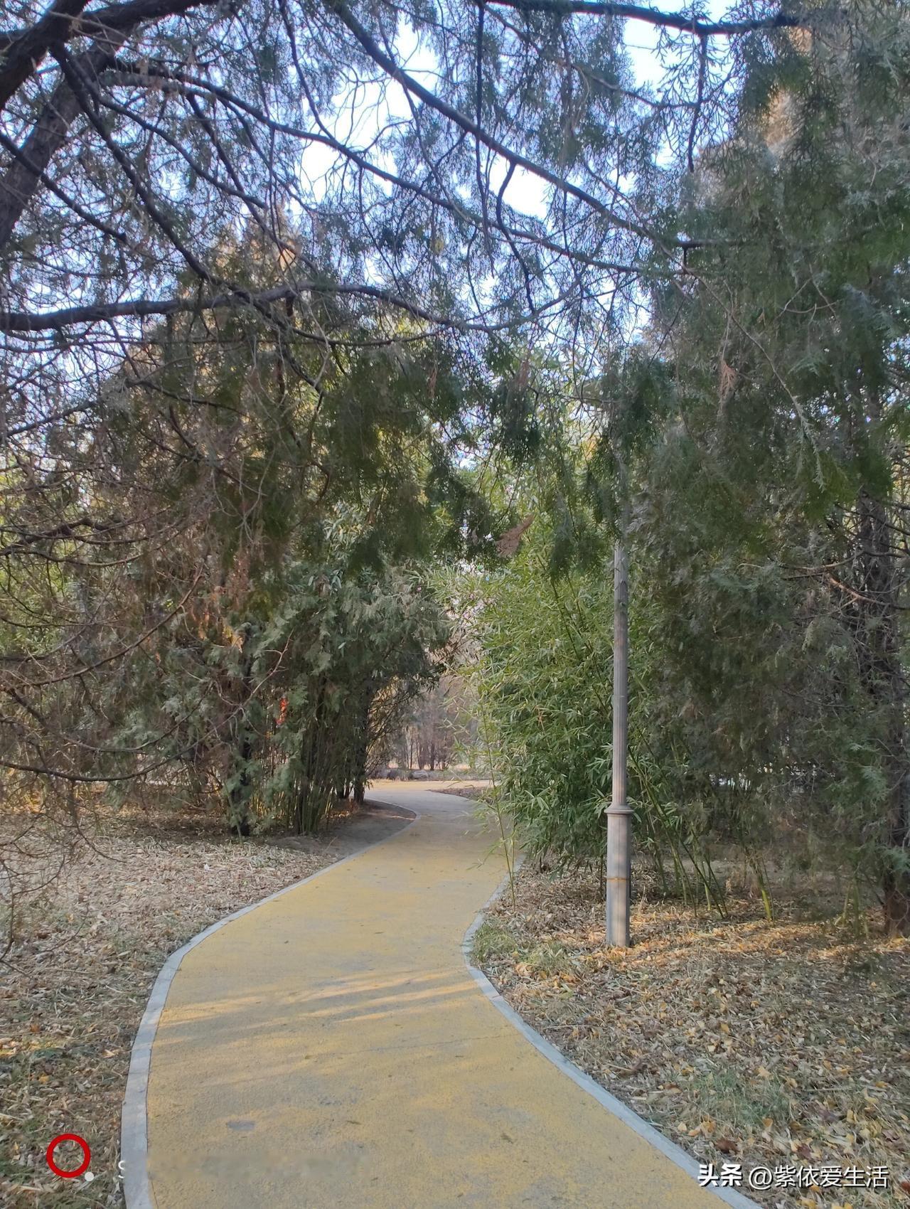 上联:春天春光美；求下联。秋风秋叶黄。