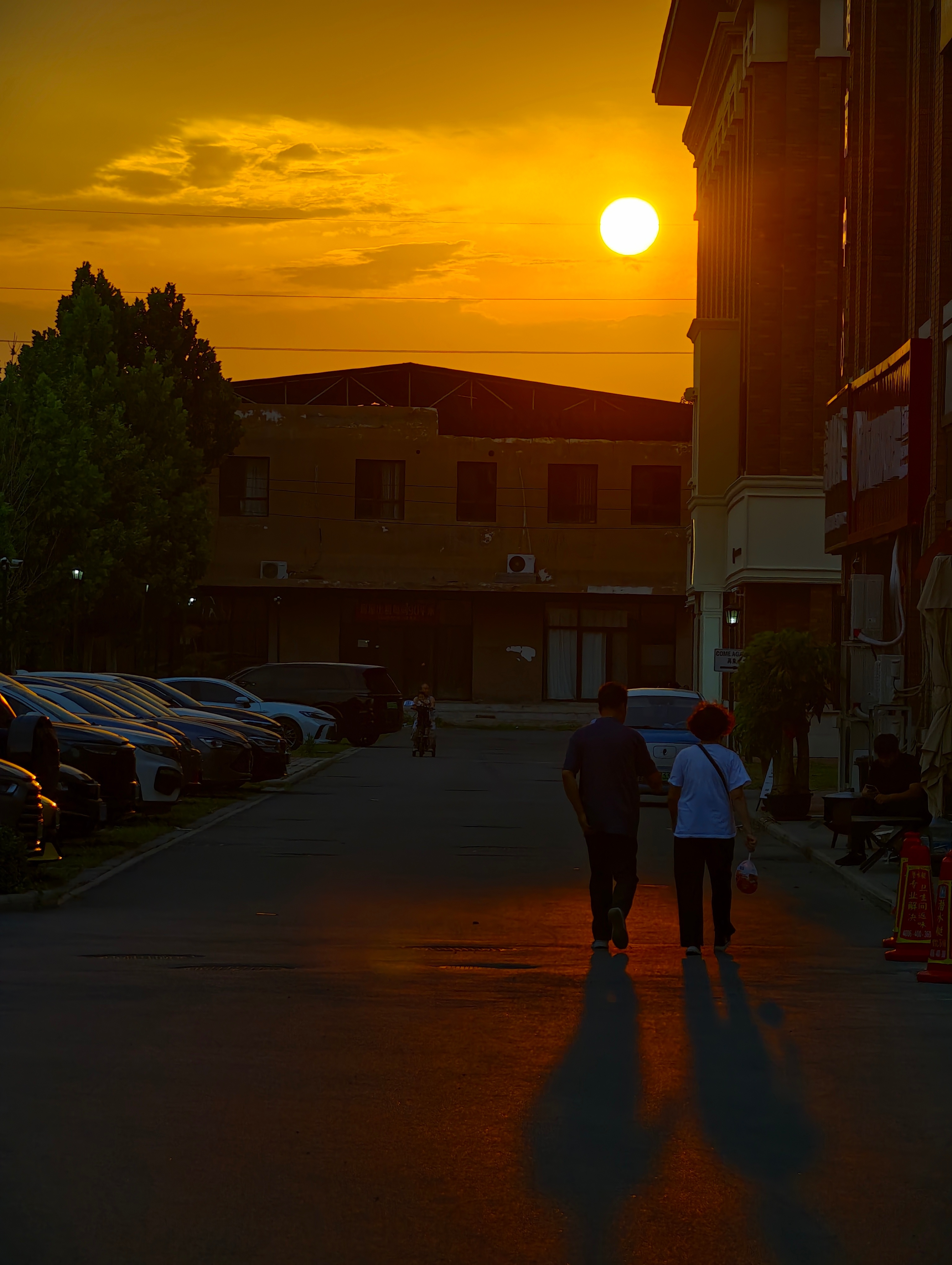 迎接夕阳凝视  ​​​